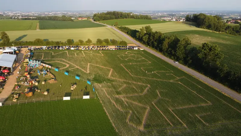 Das XXL-Maislabyrinth mit Blick übers Linzer Becken